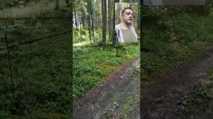 Настроение + ПЛЮС