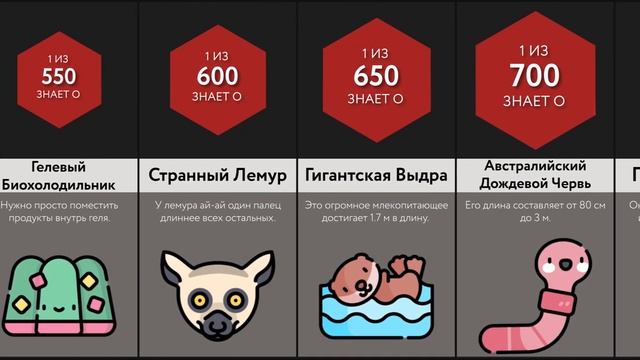 Вы не Поверите, но Это Существует!