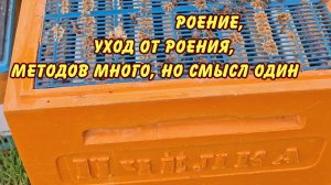 пчеловодство. роение, уход от роения, методов много, но смысл один