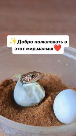 Милота🫶