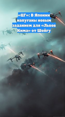 «ЦГ»: В Японии напуганы новым заданием для «Львов Кима» от Шойгу