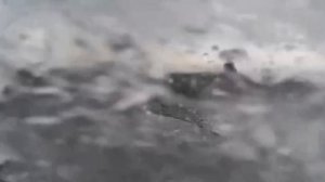 КАК ОТРАЗИТЬ АТАКУ БЭКОВ