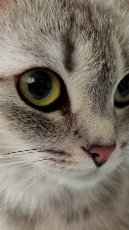 😻Берегите себя...😉