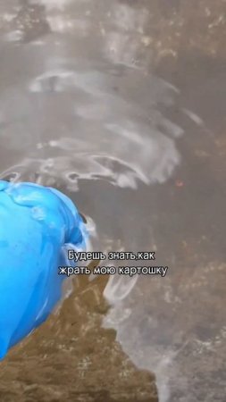 Мои будни