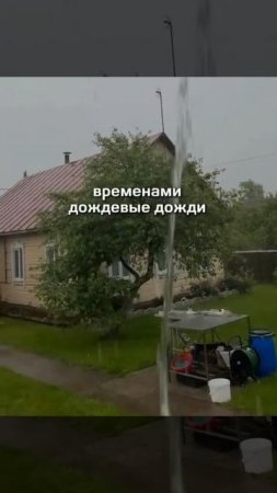 Прогноз погоды на завтра