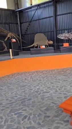 в палеопарке