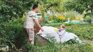 Весёлые догонялки Игры в саду с дядей Сашей 🌳