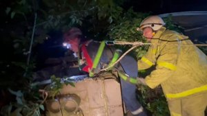 Вчера добровольцы Донецкого РО ВСКС спасли котенка, застрявшего в колодце