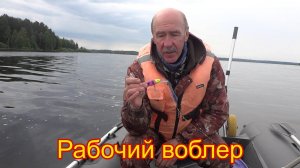 Воблеры от Mr.Musurok продолжают удивлять. Второй день открытия моторного сезона на Верхней Волге.