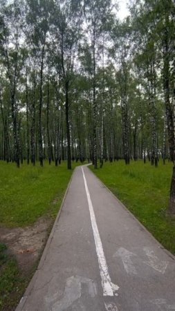 Велодорожка в парке