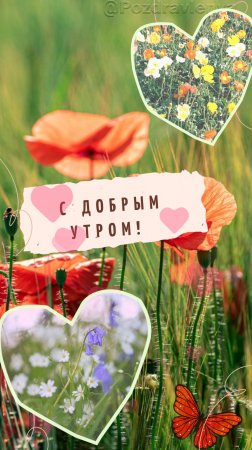 ДОБРОЕ УТРО! Летняя открытка