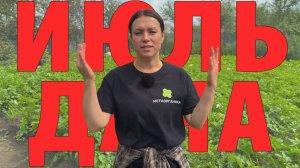 10 важных дел на даче в июле, чтобы не остаться без урожая