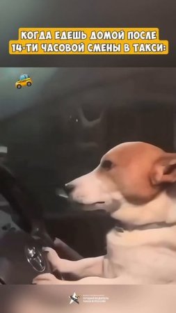 Когда едешь домой после 14-часой смены в такси 😅