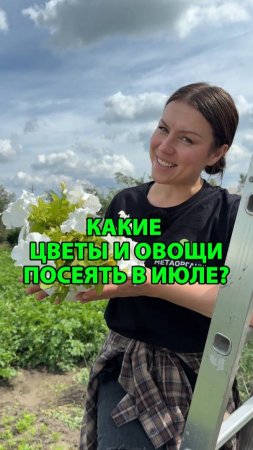 Какие цветы и овощи посеять в июле?