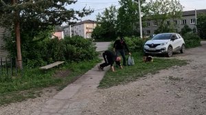 Утро начинается не с кофе, Явные сны, Дк выдал на кастрацию, Сиплому плевать, Кошмар на лавочке'
