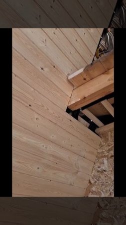 1000027673.mp4 (Собака наблюдает за креплением имитации бруса внутри дома А-фрейм)