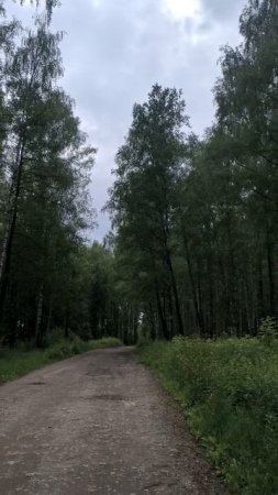 Роща