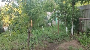Дачный день.молодёжи 2025г.
