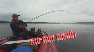 ДОЖДЬ, ГРОМ, ПОКЛЁВКИ! АДРЕНАЛИНОВАЯ РЫБАЛКА, КОТОРУЮ НЕ ЗАБЫТЬ⚡