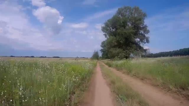 Родная земля.😊