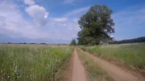 Родная земля.😊