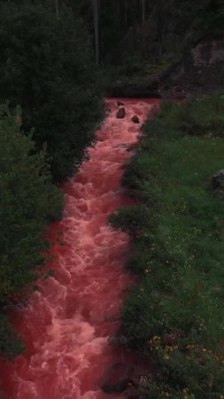 В долине Куско, расположенной в Перу, находится известная Красная река, которая известна своим не...