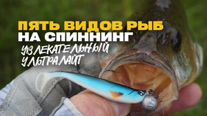 УвЛекательный УЛьтралайт Поймал 5 Видов Рыб на Спиннинг на Реке