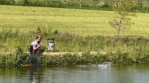 Утренние поимки на водоеме