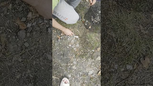 YouCut_20250629_170234637.mp4