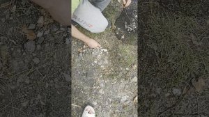 YouCut_20250629_170234637.mp4