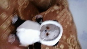 Новое Знакомство. Ооочень милые Басики ♥️♥️♥️. Ставьте лайки если хотите серии про них.