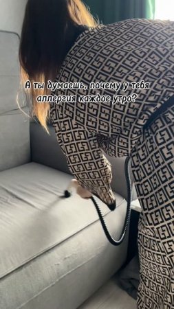 Пароочиститель для уборки дома с валдберис 391773767