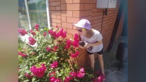 Посмотрите фото в поддержку моего канала ! Сильно заболела! Похолодало !Прошел дождь !Юг России 🏝️.