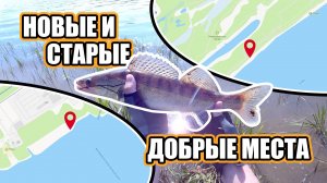 Рыбалка на ОКЕ! Спиннинг в забродку в Нижнем Новгороде! Изучаем новые места, и ловим на старых!