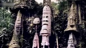 Он пересек Забор Австралии и сфотографировал другие земли.