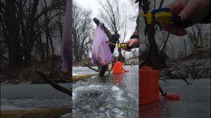 ловля живцаи и первые успехи на флажки зимой 2025год