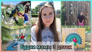 В Барнаульском зоопарке 🐯 Съездили в парк 🎠 День 2