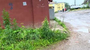 Walking through the beautiful village: не спеша гуляем