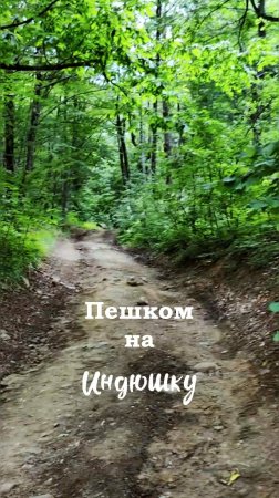 Пешком на Индюшку // ч. 1 // июнь 2025