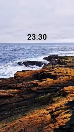 28 июня 2025 г.