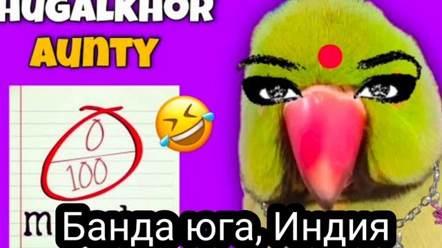 Банда юга_Full-HD