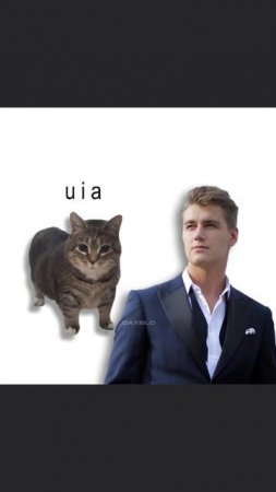 угга лайк подписка