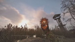 STALKER 2 #32 Духота на болотах