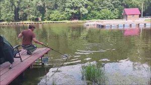 Поимки карпа на верхнем водоёме. Клёвое место, Лосиный остров.