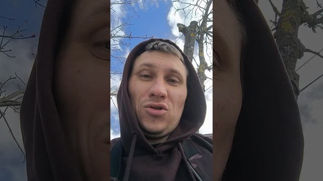 В Вологде на фоне введения «сухого закона» активно развивается чёрный рынок алкоголя.