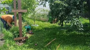 Спецзаказ на арку для клематиса/28.06.25г