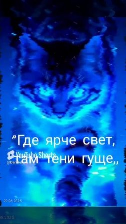 VID_20250629132414