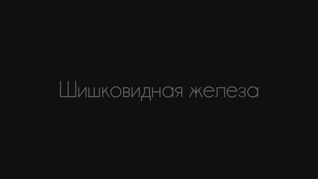 Шишковидная железа. Как она работает. Джо Диспенза