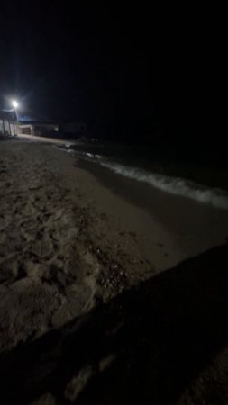 IMG_6182