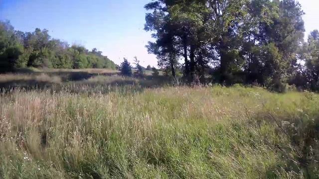 Покатушки на природу №45.😊